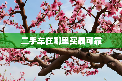 二手车在哪里买最可靠