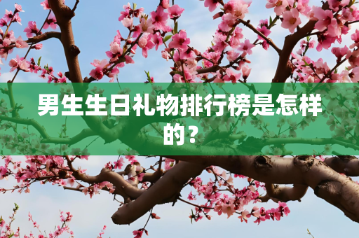 男生生日礼物排行榜是怎样的？