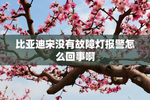 比亚迪宋没有故障灯报警怎么回事啊
