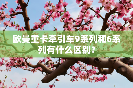 欧曼重卡牵引车9系列和6系列有什么区别？
