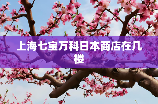上海七宝万科日本商店在几楼