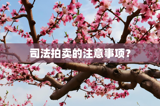 司法拍卖的注意事项？