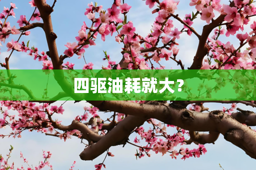 四驱油耗就大？
