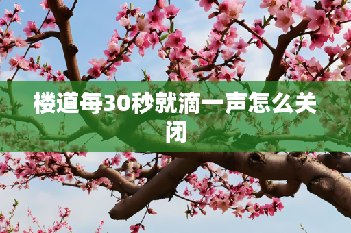 楼道每30秒就滴一声怎么关闭