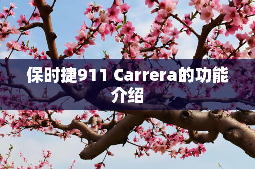 保时捷911 Carrera的功能介绍