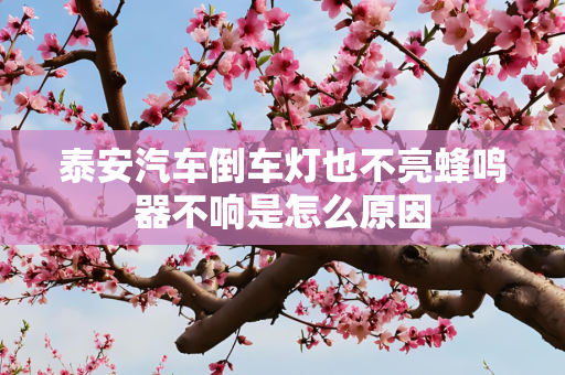泰安汽车倒车灯也不亮蜂鸣器不响是怎么原因