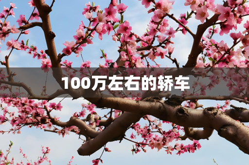 100万左右的轿车