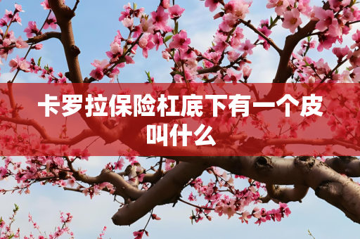 卡罗拉保险杠底下有一个皮叫什么