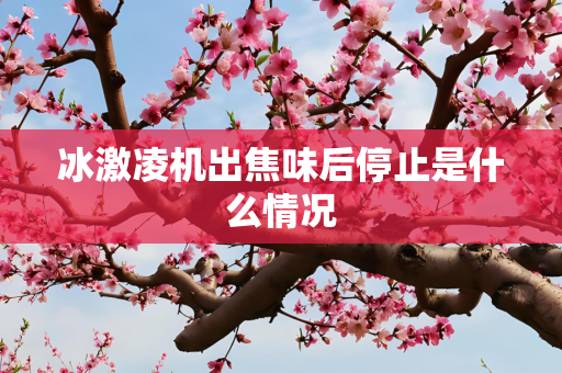 冰激凌机出焦味后停止是什么情况