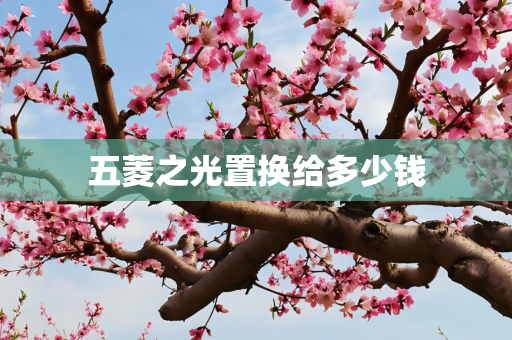 五菱之光置换给多少钱