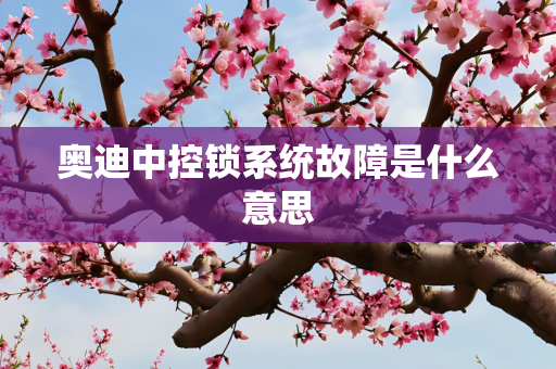 奥迪中控锁系统故障是什么意思