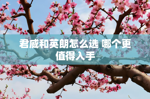 君威和英朗怎么选 哪个更值得入手