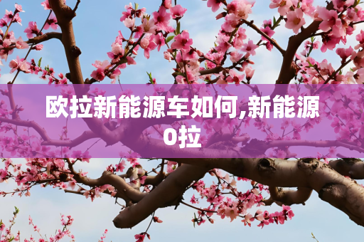 欧拉新能源车如何,新能源0拉