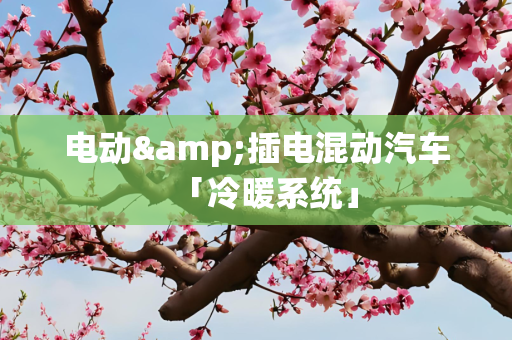 电动&插电混动汽车「冷暖系统」
