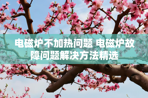 电磁炉不加热问题 电磁炉故障问题解决方法精选