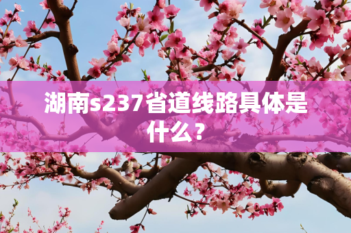 湖南s237省道线路具体是什么？