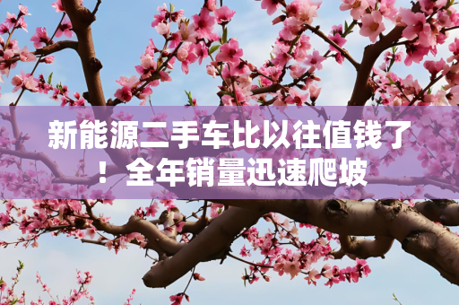 新能源二手车比以往值钱了！全年销量迅速爬坡
