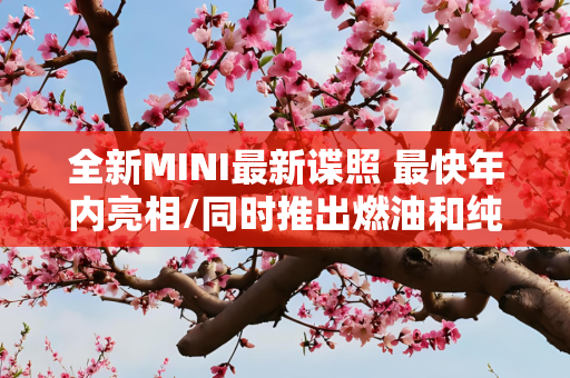 全新MINI最新谍照 最快年内亮相/同时推出燃油和纯电版