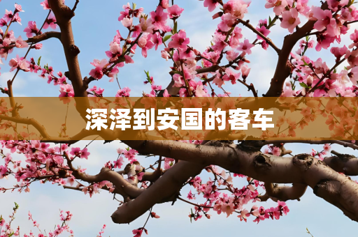深泽到安国的客车