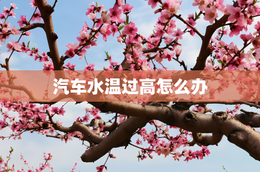 汽车水温过高怎么办