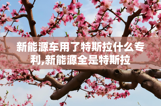 新能源车用了特斯拉什么专利,新能源全是特斯拉