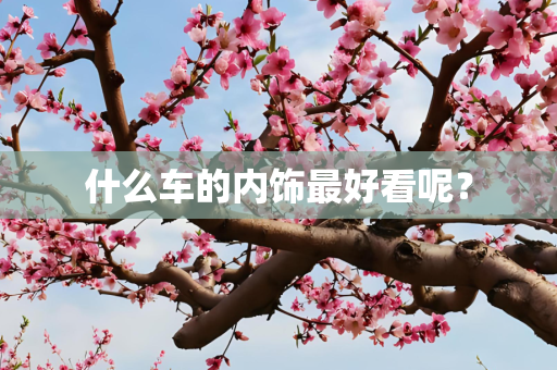 什么车的内饰最好看呢？