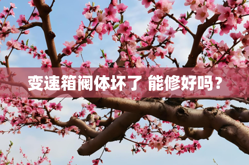变速箱阀体坏了 能修好吗？