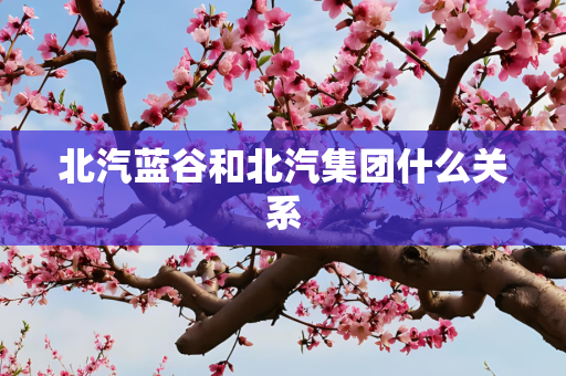 北汽蓝谷和北汽集团什么关系