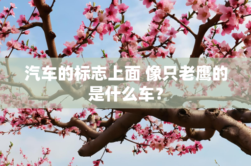 汽车的标志上面 像只老鹰的是什么车？