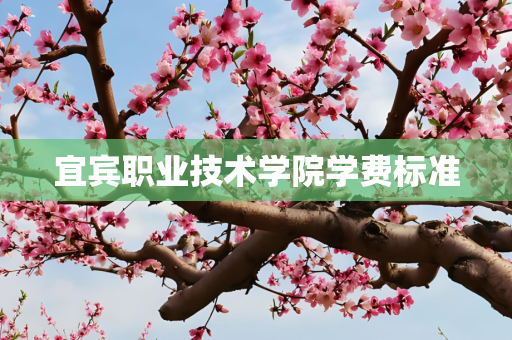 宜宾职业技术学院学费标准