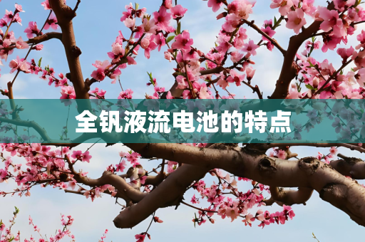 全钒液流电池的特点