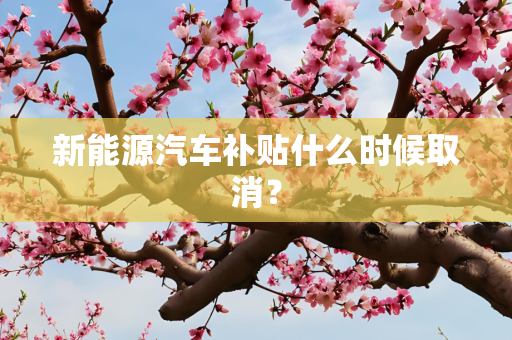 新能源汽车补贴什么时候取消？