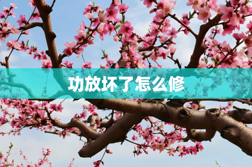 功放坏了怎么修