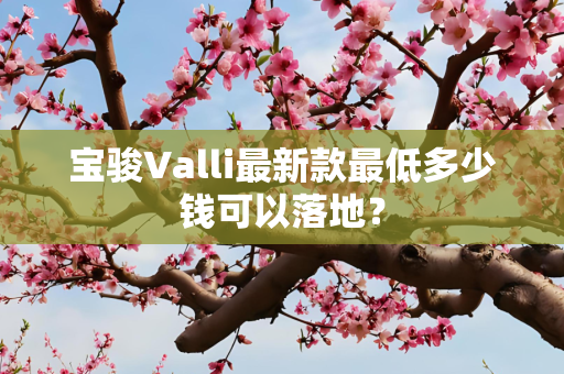 宝骏Valli最新款最低多少钱可以落地？