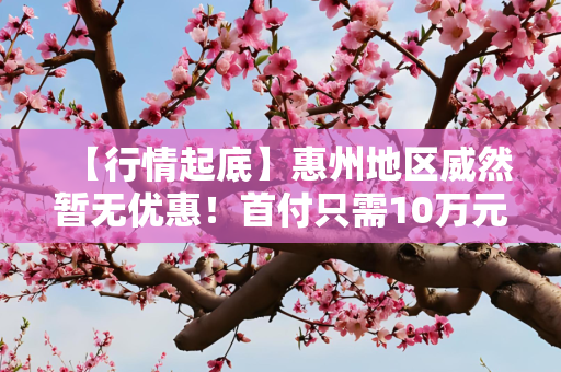 【行情起底】惠州地区威然暂无优惠！首付只需10万元