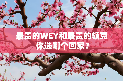 最贵的WEY和最贵的领克 你选哪个回家？
