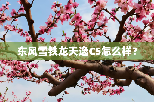 东风雪铁龙天逸C5怎么样？