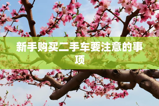 新手购买二手车要注意的事项