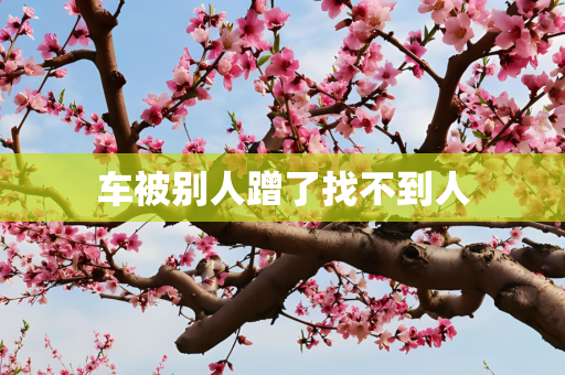 车被别人蹭了找不到人