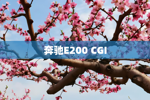 奔驰E200 CGI