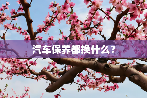 汽车保养都换什么？