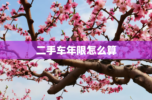 二手车年限怎么算