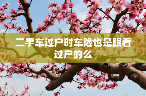 二手车过户时车险也是跟着过户的么
