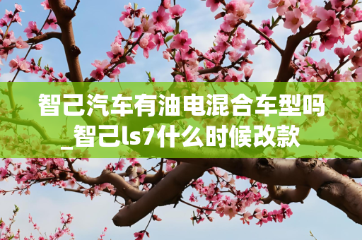 智己汽车有油电混合车型吗_智己ls7什么时候改款