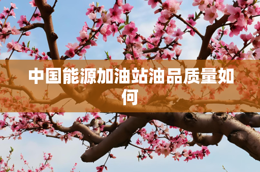 中国能源加油站油品质量如何