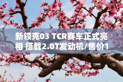 新领克03 TCR赛车正式亮相 搭载2.0T发动机/售价14.8万欧元