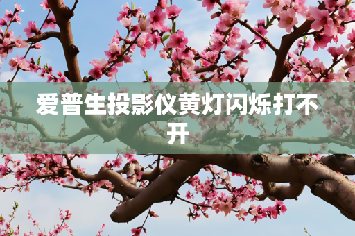 爱普生投影仪黄灯闪烁打不开