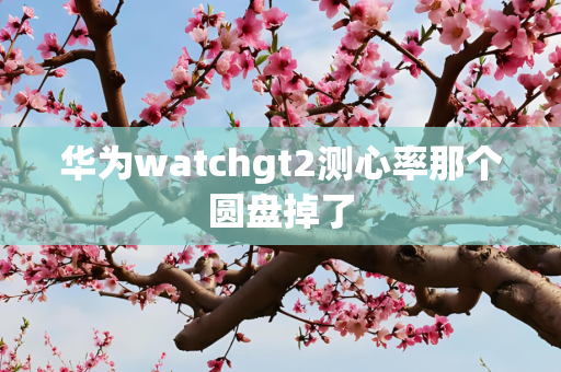 华为watchgt2测心率那个圆盘掉了