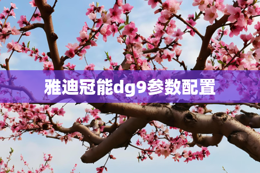 雅迪冠能dg9参数配置