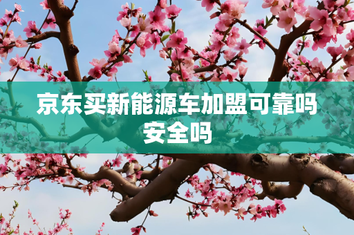 京东买新能源车加盟可靠吗安全吗